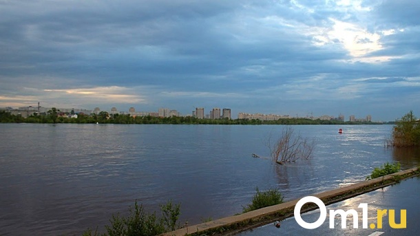 Омич поймал в Иртыше необычную живность. ФОТО