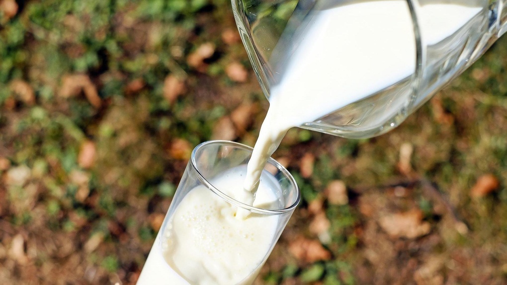 В сразу нескольких местах в Омской области нашли некачественную молочную продукцию
