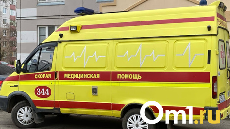 55-летняя женщина попала под колёса иномарки и погибла в Новосибирской области