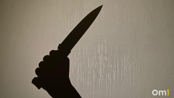 Полиция возбудила уголовное дело из-за жестокого убийства пса в Новосибирске