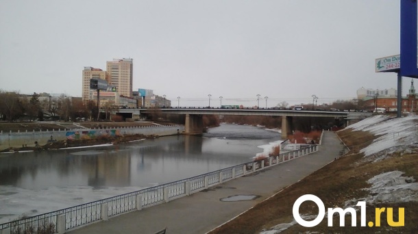 В Омске снова нашли экстремальное содержание марганца в Оми