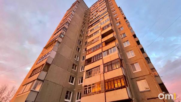«Почему все молчат?»: омичи терпят нашествие чёрных жуков