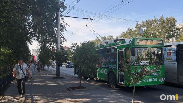 Стало известно, когда на Левый берег вернутся троллейбусы