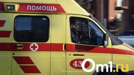 Бастрыкин поручил провести проверку по факту смерти омича из-за плохой дороги