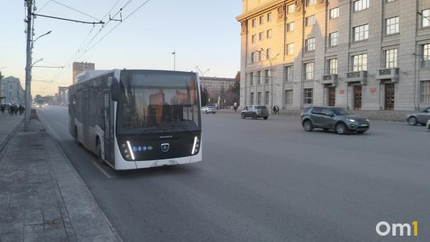 «Ехать было страшно»: в Новосибирске водитель автобуса посадил за руль пассажира