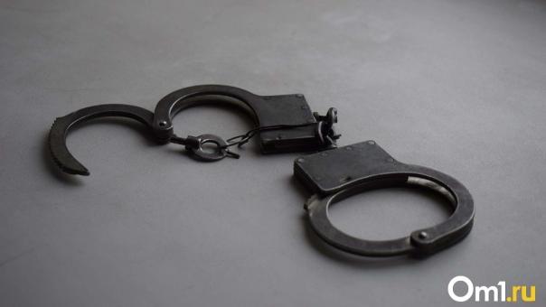 Нечаянно попал в голову ледорубом: сидевшего за убийство инвалида отпускают из колонии в Новосибирске