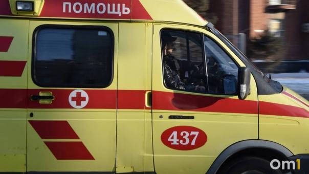 В Омской области девочка и пенсионерка пострадали в поселковом ДТП