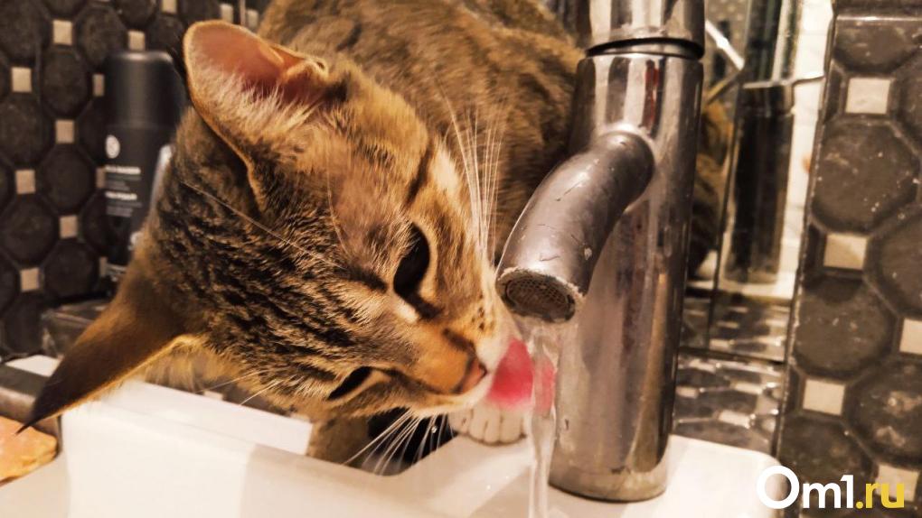 В выходные без воды: в двух районах Омской области устраняют перебои с водоснабжением