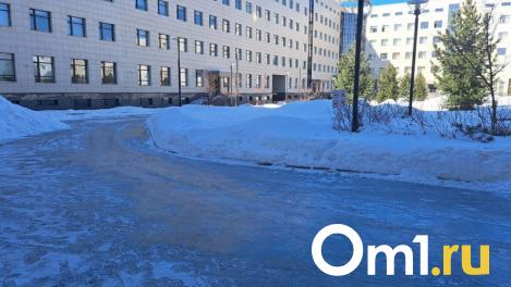 Компании из Екатеринбурга готовы выплатить 37 миллионов за соль для омских дорог