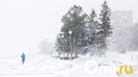 Омичей ждёт очень снежная неделя