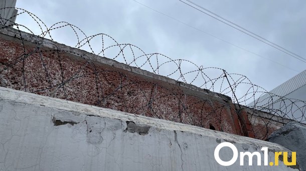 Омича, который нападал на женщин, признали невменяемым