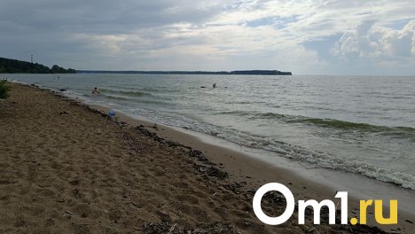 Шестилетнюю девочку нашли одну на Бугринском пляже в Новосибирске