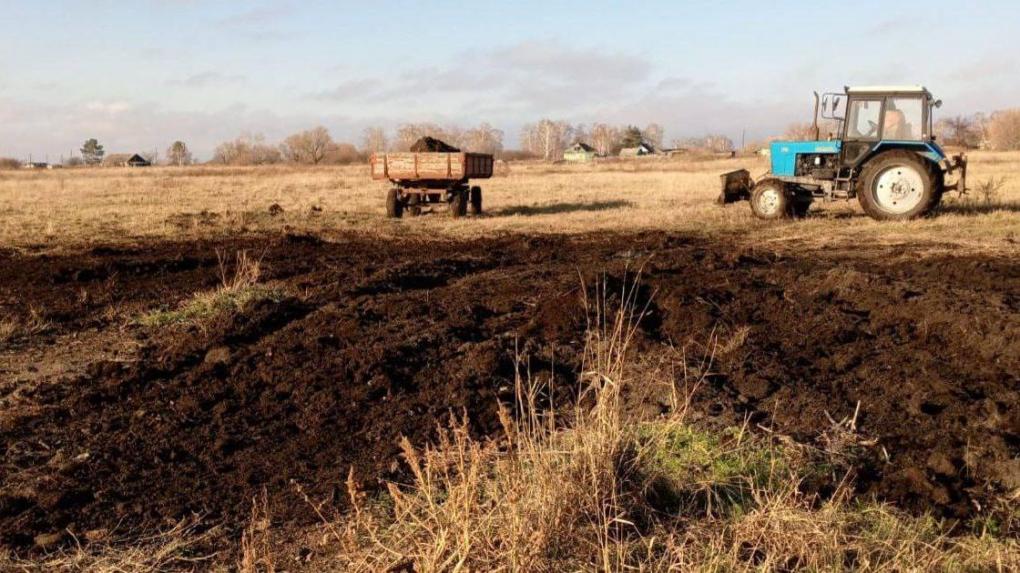 Нелегальную свалку ликвидировали после вмешательства прокуратуры в Новосибирской области