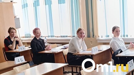 В Новосибирске школьника оставили без компьютерной мышки на экзамене по информатике