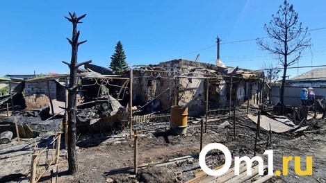 Детей выносили через окна: страшный пожар уничтожил три дома под Новосибирском. ФОТО