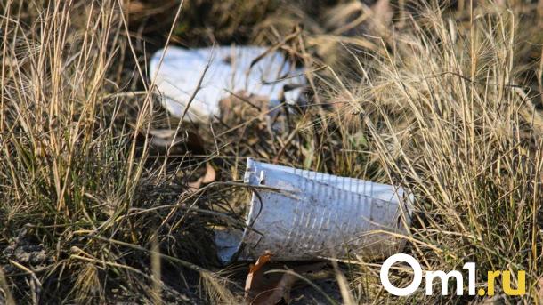 Власти Омска перенесли сроки «месячника чистоты»
