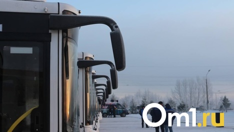 Директором омского ПАТП № 8 станет Михаил Томилов