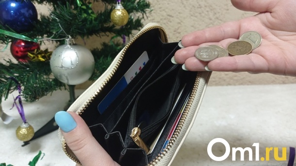 Как новосибирцам «дожить» до зарплаты в новогодние праздники? Инструкция от Om1.ru