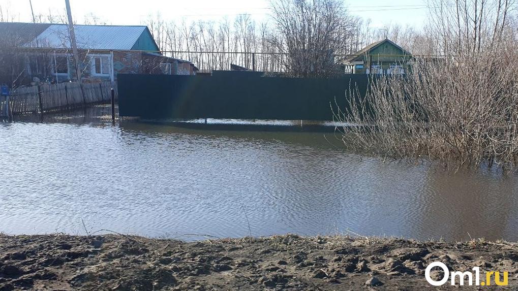 В Омске для пострадавших от паводка продлили срок подачи обращений за выплатами