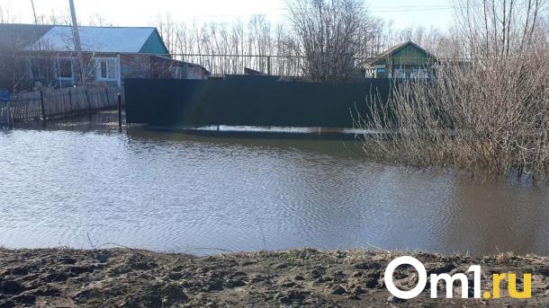 В Омске для пострадавших от паводка продлили срок подачи обращений за выплатами