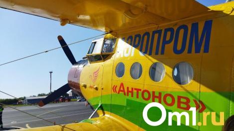 Летучая маршрутка: из Омска вылетел первый за долгое время самолёт в Усть-Ишим