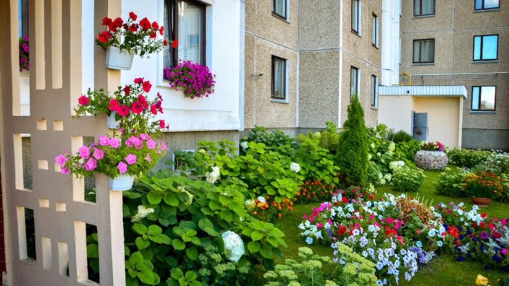 Зелёный двор и красивый балкон: за благоустройство дворов омичи получат «Умную систему безопасности»