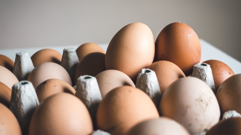 Известного в Омской области производителя куриных яиц ликвидируют после банкротства