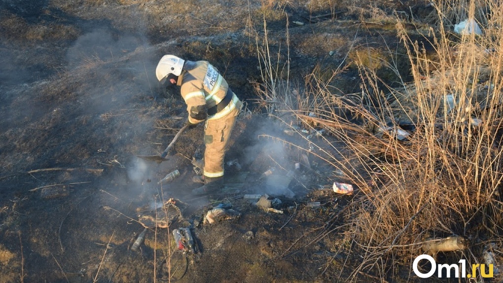 В Омской области из-за пожаров продлили запрет на посещение лесов