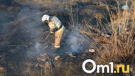 В Омской области из-за пожаров продлили запрет на посещение лесов