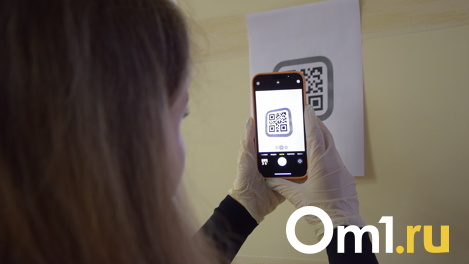 У меня антитела! Переболевшим коронавирусом россиянам начали выдавать QR-коды на Госуслугах