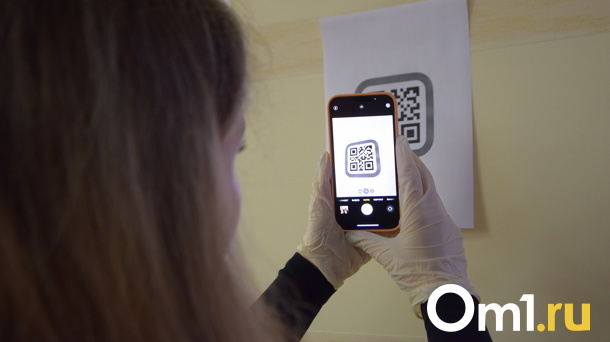 У меня антитела! Переболевшим коронавирусом россиянам начали выдавать QR-коды на Госуслугах