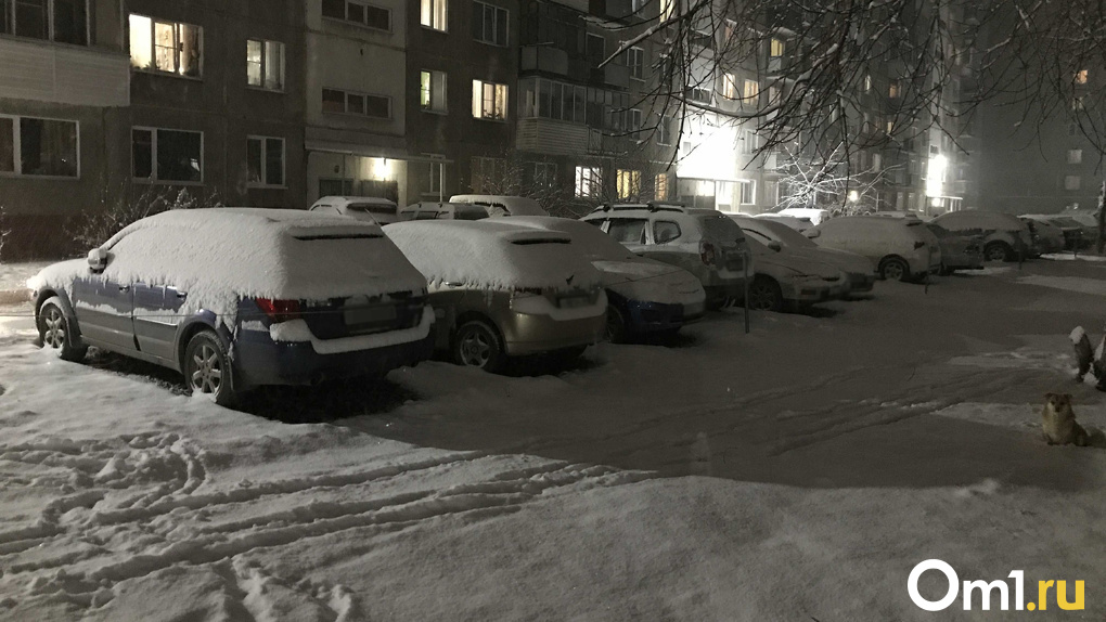 Вскрывали машины, магазины и кафе: в Новосибирске вынесен приговор банде подростков-грабителей