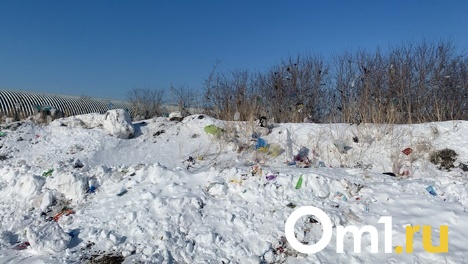 Омский Депстрой ищет подрядчика для ликвидации свалки у кладбища в Центральном округе