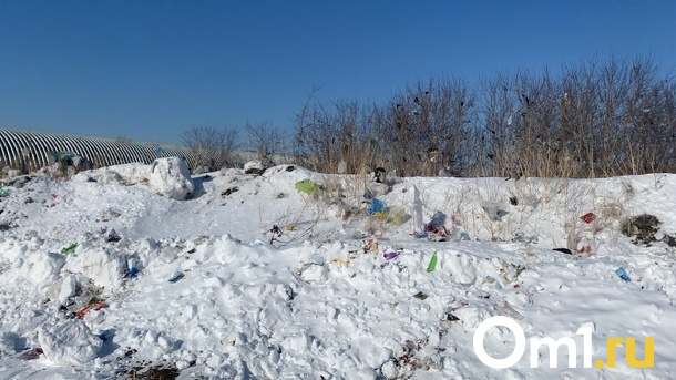 Омский Депстрой ищет подрядчика для ликвидации свалки у кладбища в Центральном округе