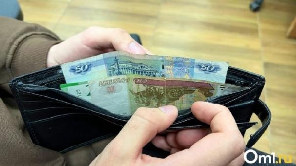 Новосибирский экономист прокомментировал предложение Путина о повышении МРОТ на 18%