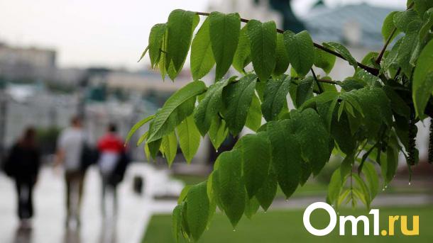 Погодные капризы продолжают испытывать омичей