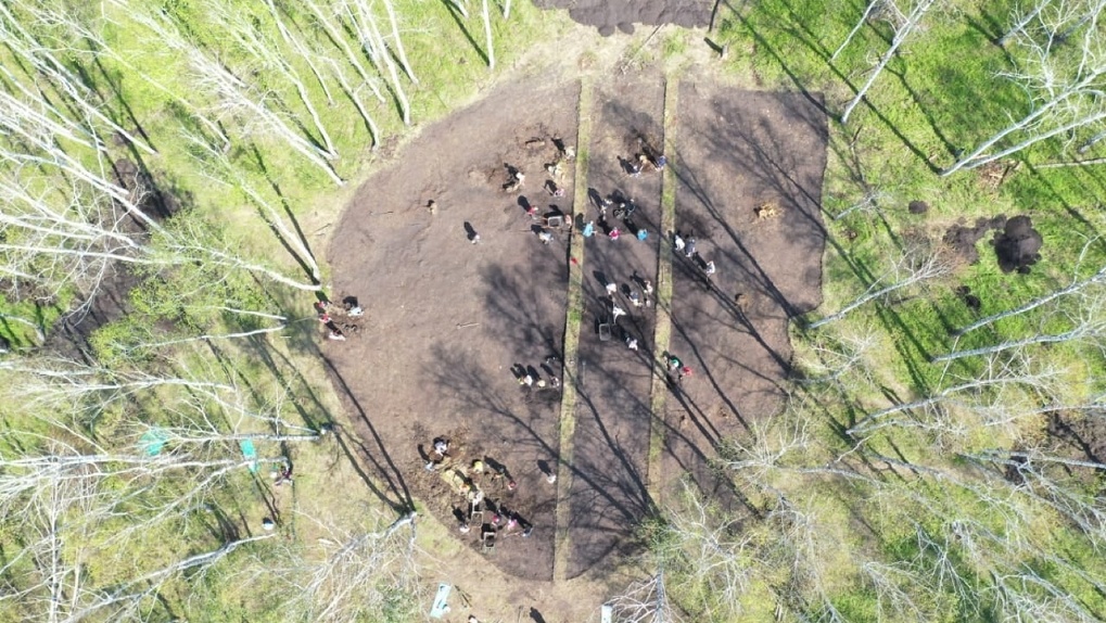 Археологи-студенты ОмГПУ нашли под Омском останки всадника и удила эпохи железного века