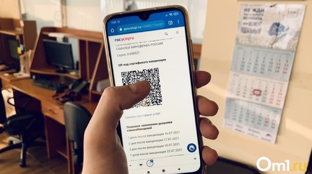 QR-коды в театрах и на концертах отменили в Новосибирской области