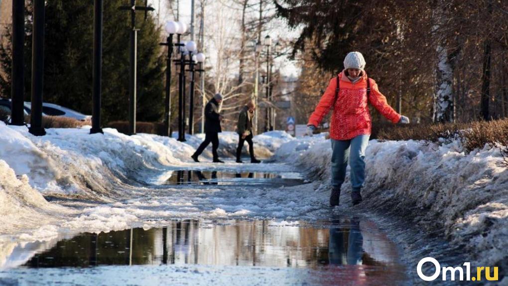 Тёплая погода окончательно установится в Новосибирске на этой неделе