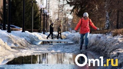 Тёплая погода окончательно установится в Новосибирске на этой неделе