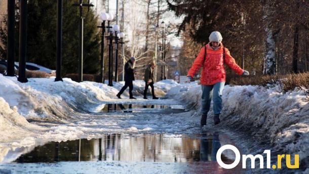 Тёплая погода окончательно установится в Новосибирске на этой неделе