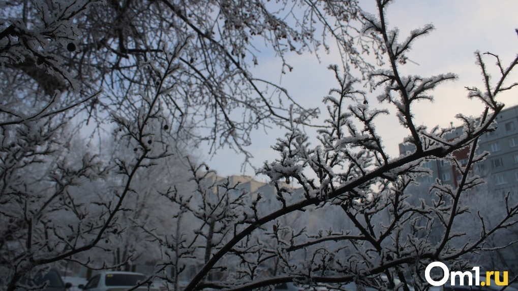 Синоптики признали прошедшую ночь в Омской области самой холодной