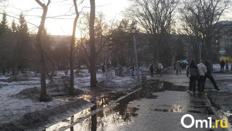 Омичам рассказали, куда жаловаться на большие лужи