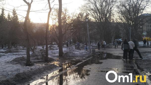 Омичам рассказали, куда жаловаться на большие лужи