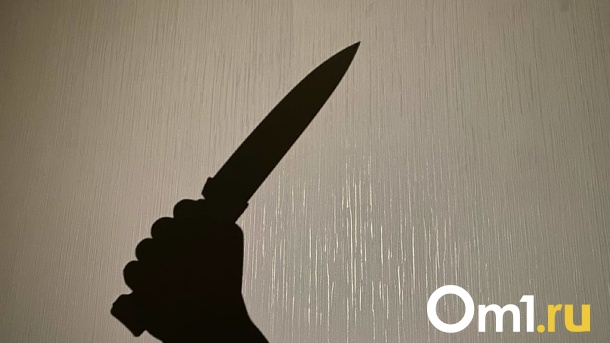 Кровавое тело на полу: новосибирец зарезал пенсионера ради бытовой техники