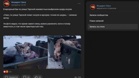 Очередной труп в мусорном баке. Омичи нашли шкуру косули с ногами и открытым глазом