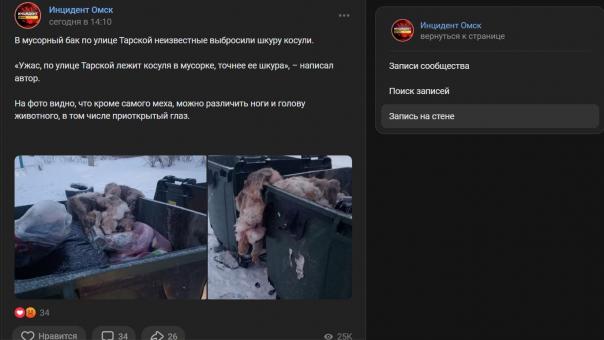 Очередной труп в мусорном баке. Омичи нашли шкуру косули с ногами и открытым глазом