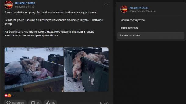 Очередной труп в мусорном баке. Омичи нашли шкуру косули с ногами и открытым глазом