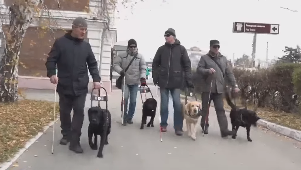 В центре Омска из кафе выгнали незрячих инвалидов — ВИДЕО