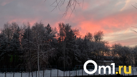 Новая волна холода. Синоптики предсказали омичам продолжительные морозы до -30 градусов